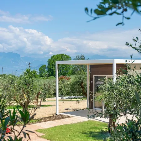 Il Giardino Degli Ulivi *